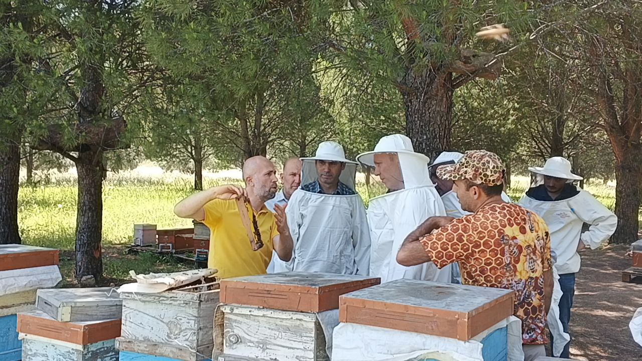 Dünya Arı günü Etkinliği Kapsamında Çocuk Arı Şenliği Düzenlendi